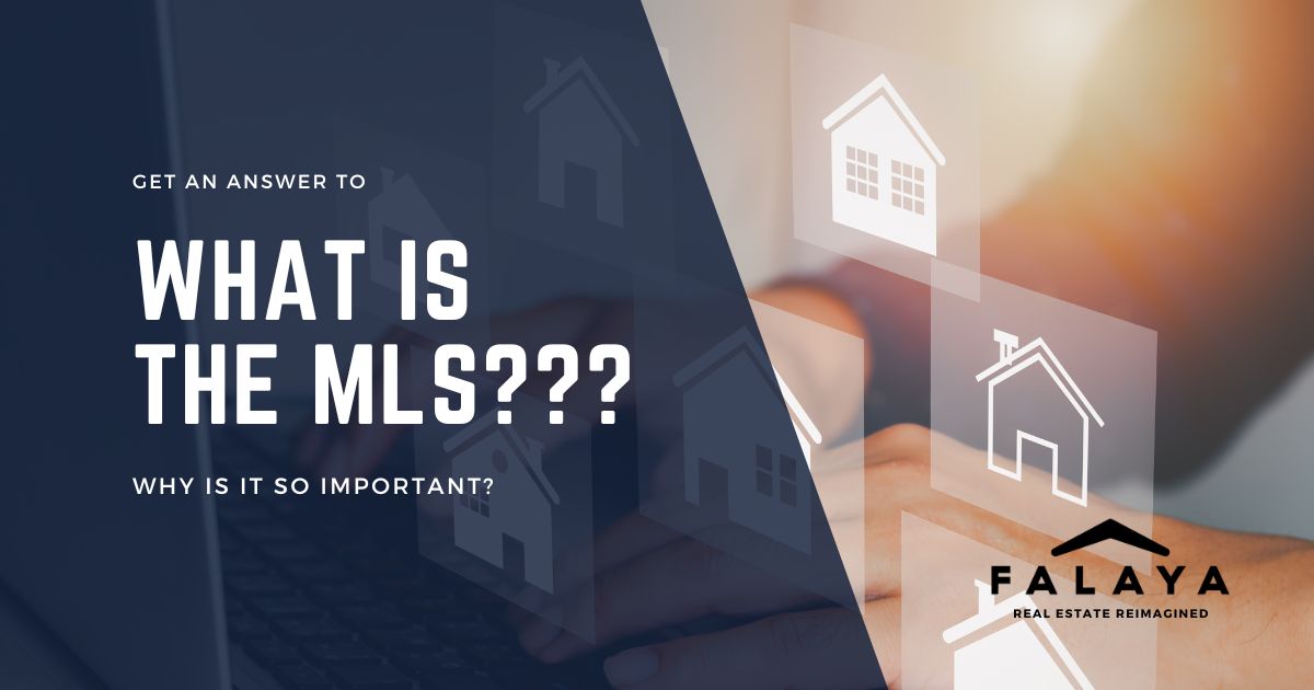 Blog Cover Image What Is The MLS?
